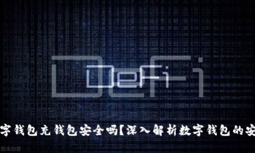 向数字钱包充钱包安全吗？深入解析数字钱包的安全性