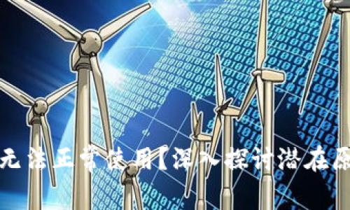 数字钱包为何无法正常使用？深入探讨潜在原因与解决方案