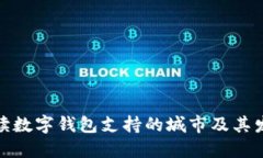 全面解读数字钱包支持的