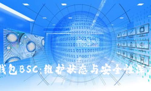 小狐钱包BSC：维护状态与安全性深度解析