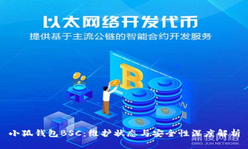 小狐钱包BSC：维护状态与安全性深度解析