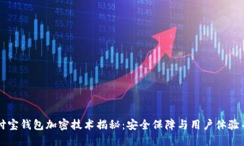 支付宝钱包加密技术揭秘：安全保障与用户体验并重