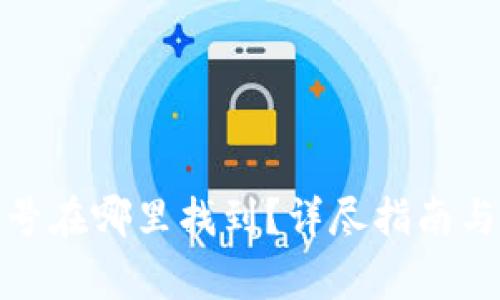 : 数字钱包编号在哪里找到？详尽指南与常见问题解答