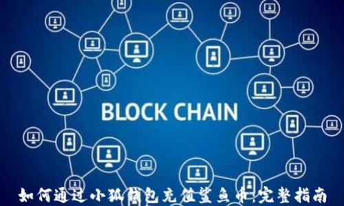 
如何通过小狐钱包充值鲨鱼币：完整指南