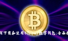 如何下载和使用Bibipay数字