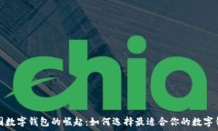   外国数字钱包的崛起：如