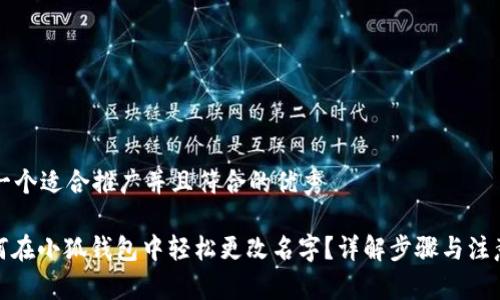 思考一个适合推广并且符合的优秀

: 如何在小狐钱包中轻松更改名字？详解步骤与注意事项