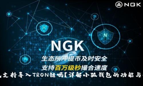 小狐钱包支持导入TRON链吗？详解小狐钱包的功能与使用指南