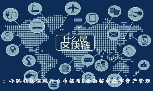 : 小狐钱包消耗什么币能用？全面解析数字资产管理