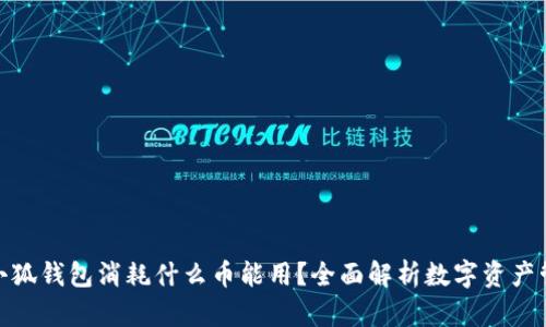 : 小狐钱包消耗什么币能用？全面解析数字资产管理