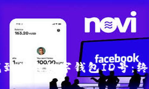 如何找到您的数字钱包ID号：终极指南