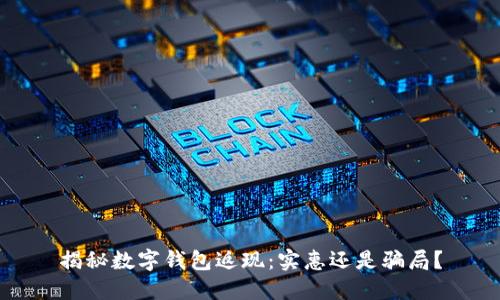 揭秘数字钱包返现：实惠还是骗局？