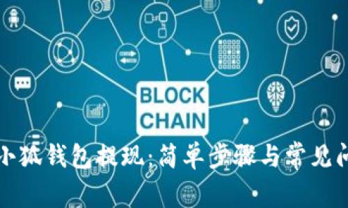 如何从小狐钱包提现：简单步骤与常见问题解答