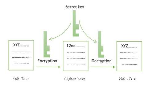 探索蜂巢星球的数字钱包：未来数字资产管理的新视野
