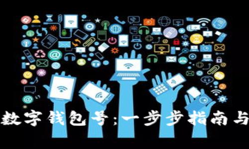 如何申请数字钱包号：一步步指南与注意事项