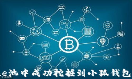 
如何在e池中成功挖掘到小狐钱包的财富