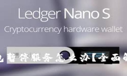 建议： 数字钱包暂停服务怎么办？全面解析与应对方案