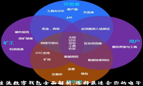 
2023年主流数字钱包全面解析：选择最适合你的电子支付方案