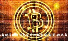 全面解析区块链钱包使用