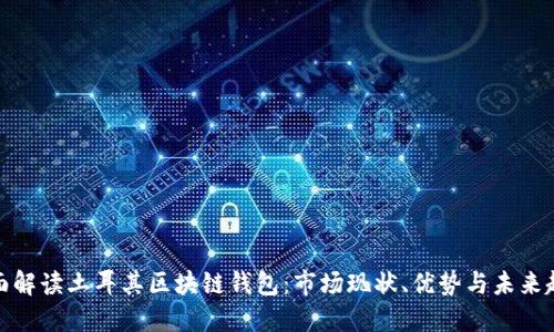 全面解读土耳其区块链钱包：市场现状、优势与未来趋势