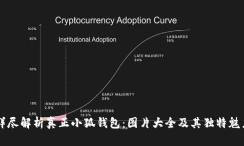 详尽解析真正小狐钱包：图片大全及其独特魅力