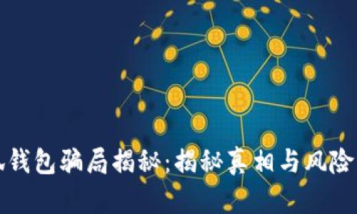 小狐钱包骗局揭秘：揭秘真相与风险分析