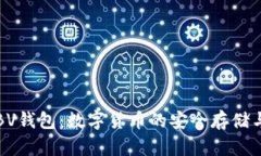 深入了解BV钱包：数字货币的安全存储与发展前景