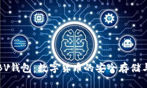 深入了解BV钱包：数字货币的安全存储与发展前景