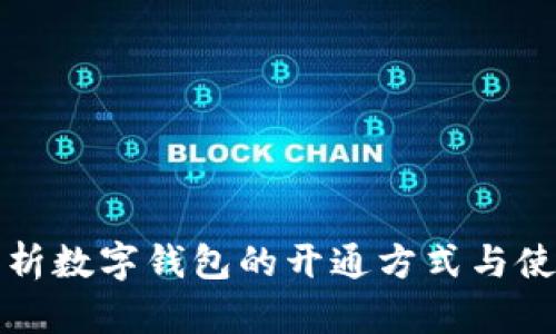 全面解析数字钱包的开通方式与使用指南