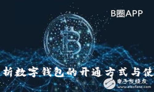 全面解析数字钱包的开通方式与使用指南