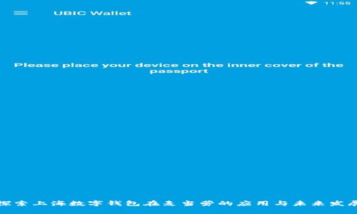 探索上海数字钱包在麦当劳的应用与未来发展