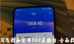 如何选择和使用BEC区块链